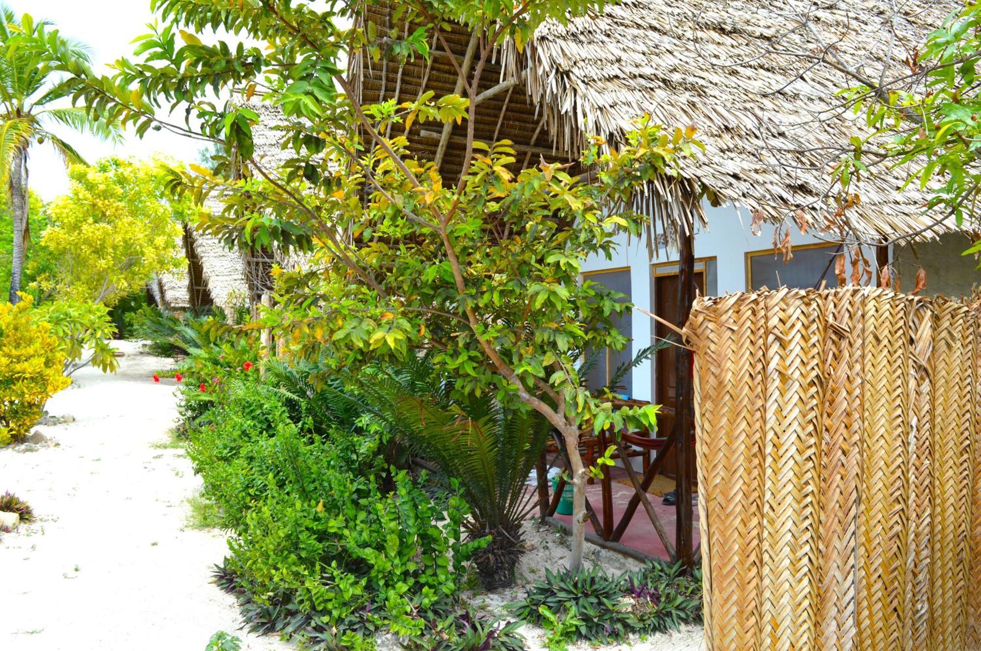 New Jambo Bungalows ปาเยอ ภายนอก รูปภาพ