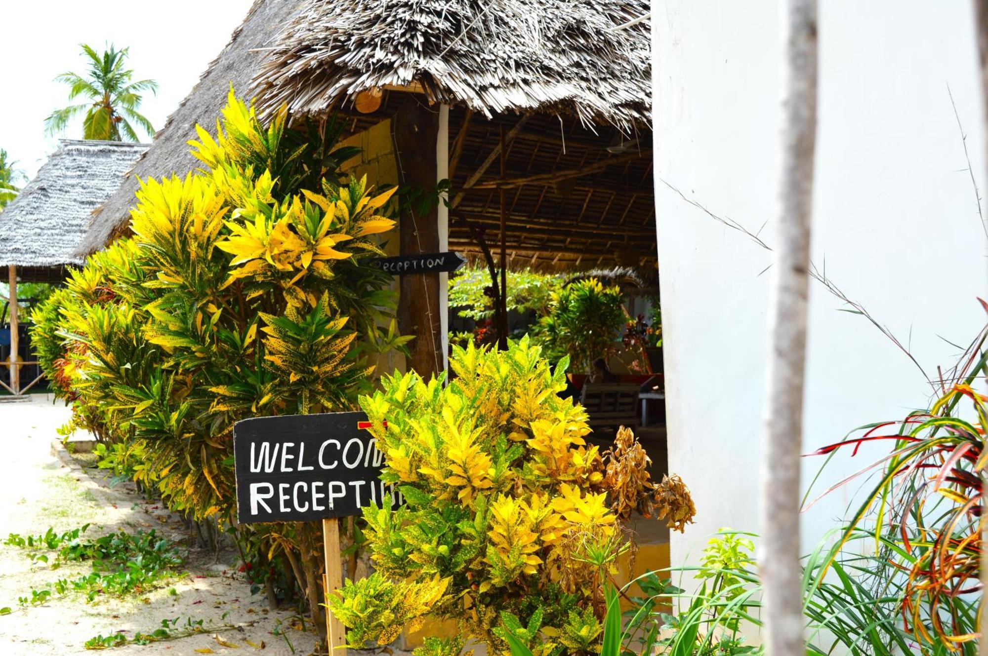 New Jambo Bungalows ปาเยอ ภายนอก รูปภาพ
