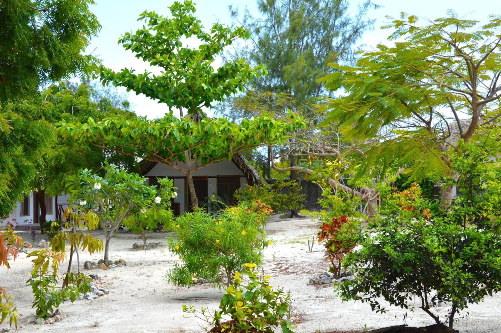 New Jambo Bungalows ปาเยอ ภายนอก รูปภาพ