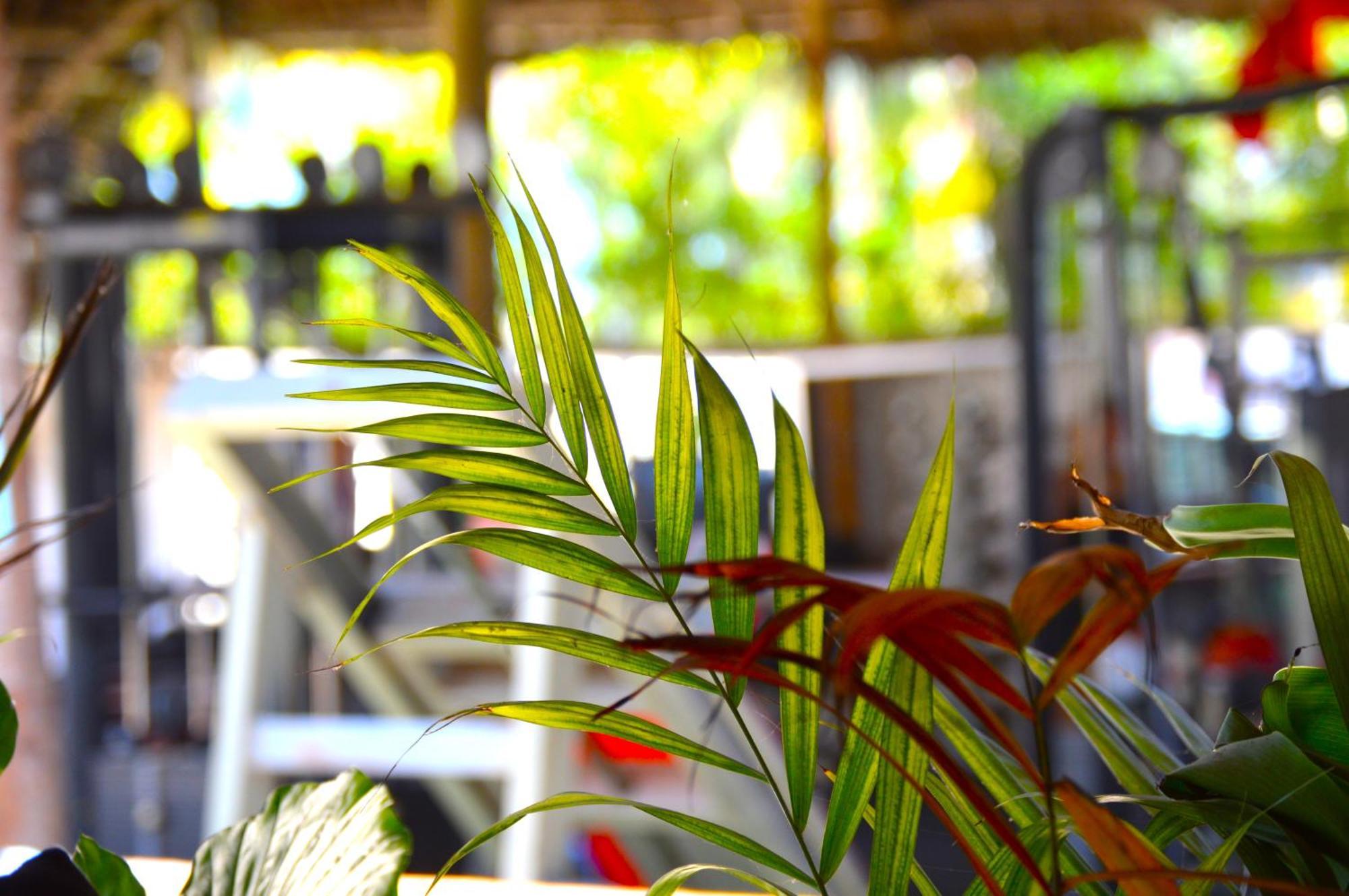 New Jambo Bungalows ปาเยอ ภายนอก รูปภาพ