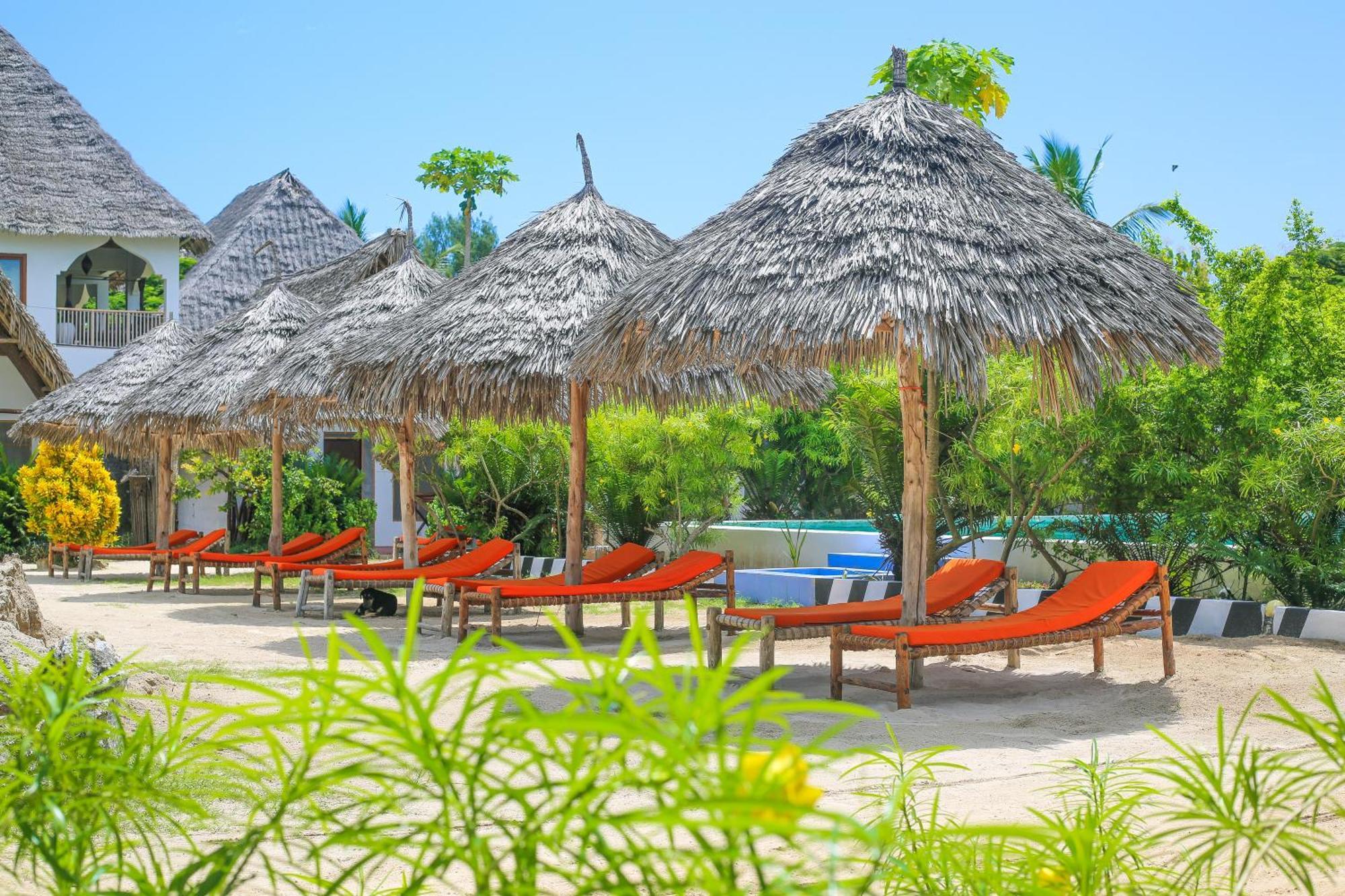 New Jambo Bungalows ปาเยอ ภายนอก รูปภาพ